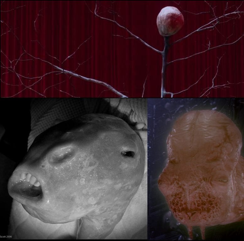 comparison between the arm, eraserhead baby and something else