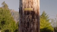 The number 6 on a telegraph poll twin peaks