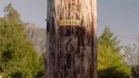 The number 6 on a telegraph poll twin peaks