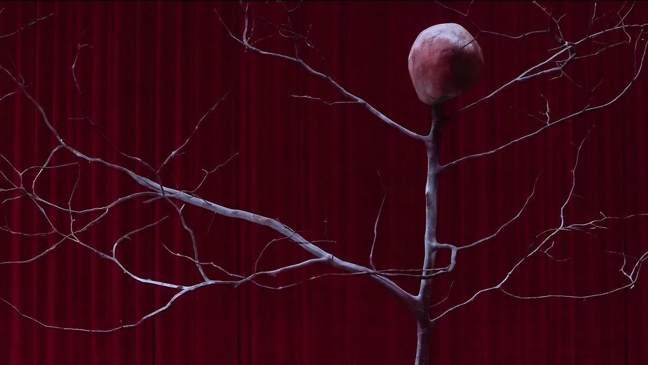 The evolution of the arm tree