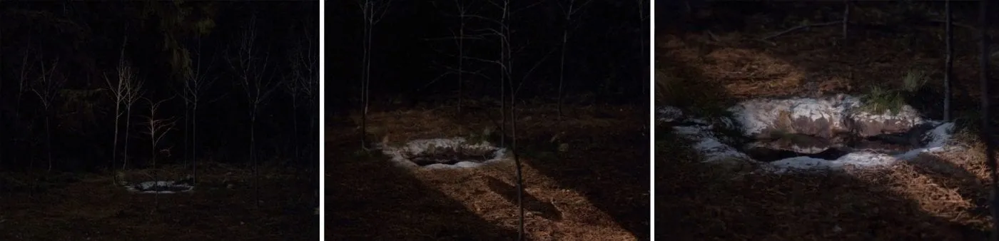 glastonbury grove ghostwood forest Twin Peaks glastonbury grove ghostwood forest Twin Peaks