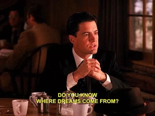 IMAGE 1 coop dreamer