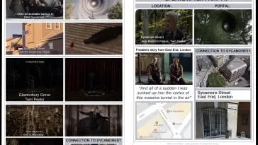 Sycamores and the Portals collage