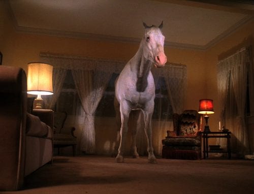 a white horse stands in the Palmer living room