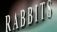 Rabbits short film title