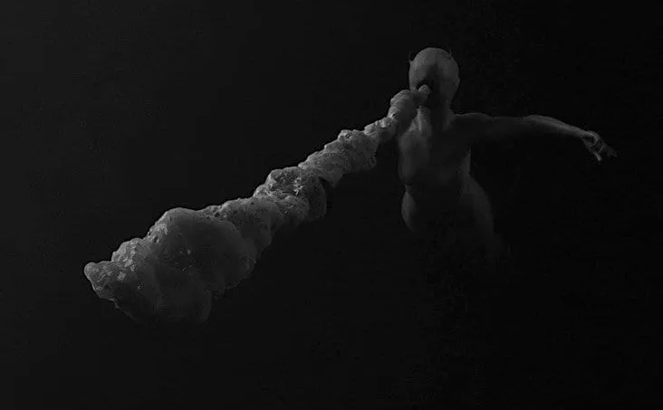 The experiment The experiment