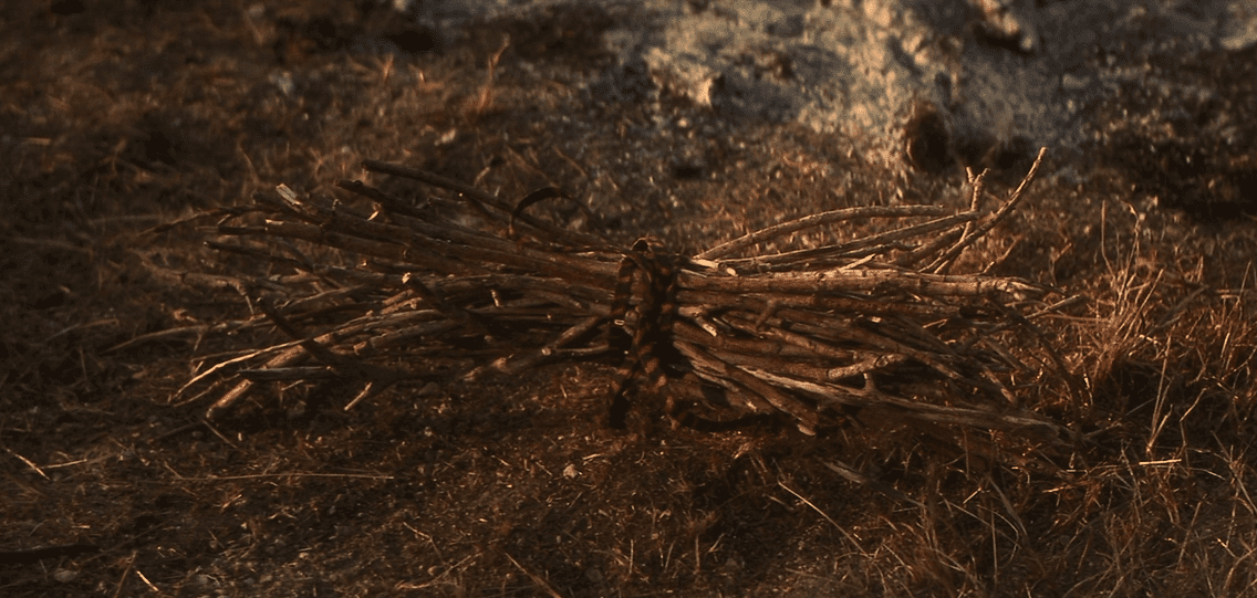 A tied bundle of sticks on the ground