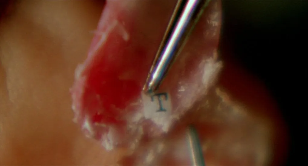 Letter T fingernail The letter T underneath a fingernail