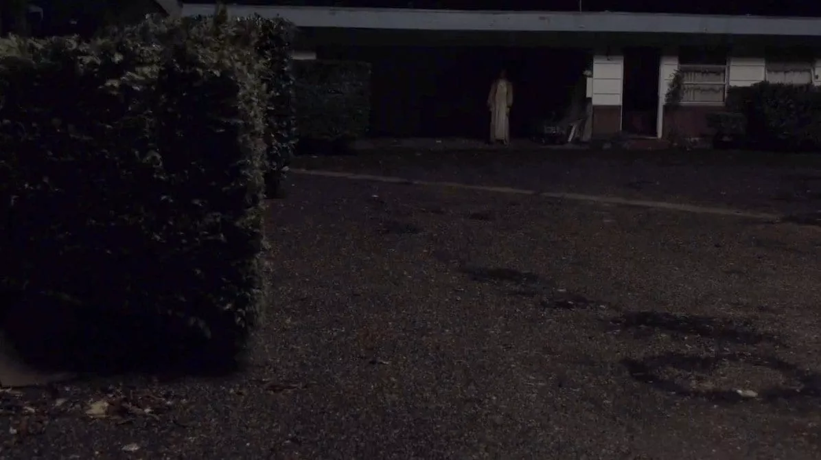 the bosomy woman lurks at the dutchmans