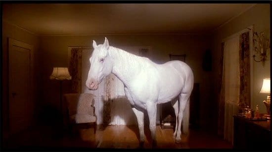 White Horse in the Palmer house