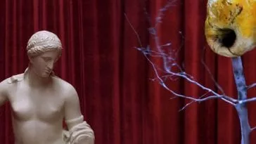 Venus statue and EOTA