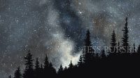 Art by Jess Purser, fir trees in the starry sky
