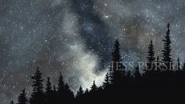 Art by Jess Purser, fir trees in the starry sky