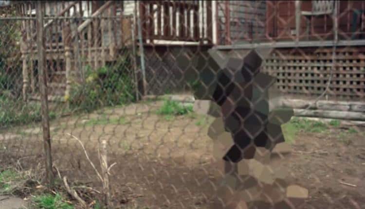 A dog is blurred behind a fence