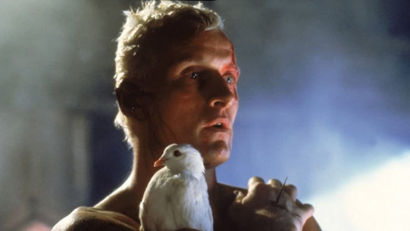 Roy Batty played by Rutget Hauer in Blade Runner
