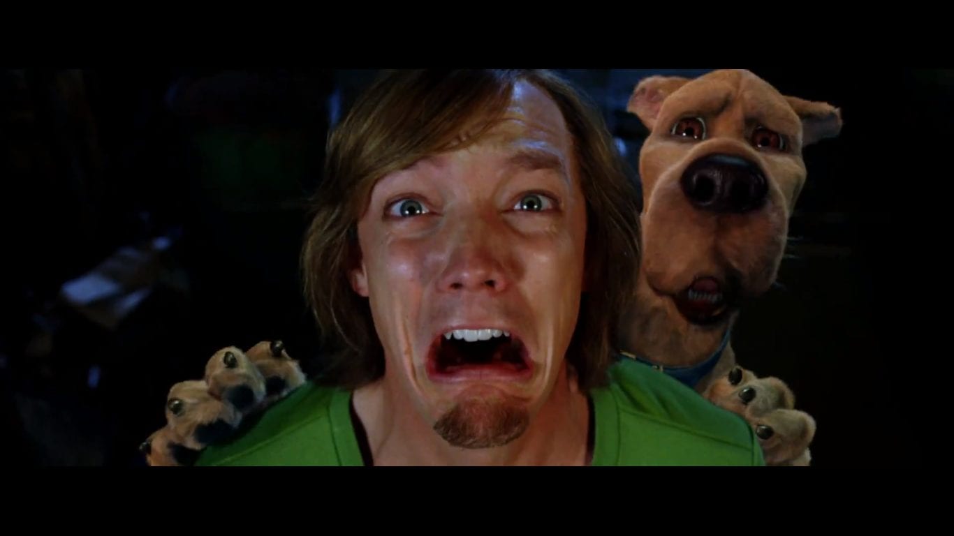  Matthew Lillard in Scooby Doo as Shaggy