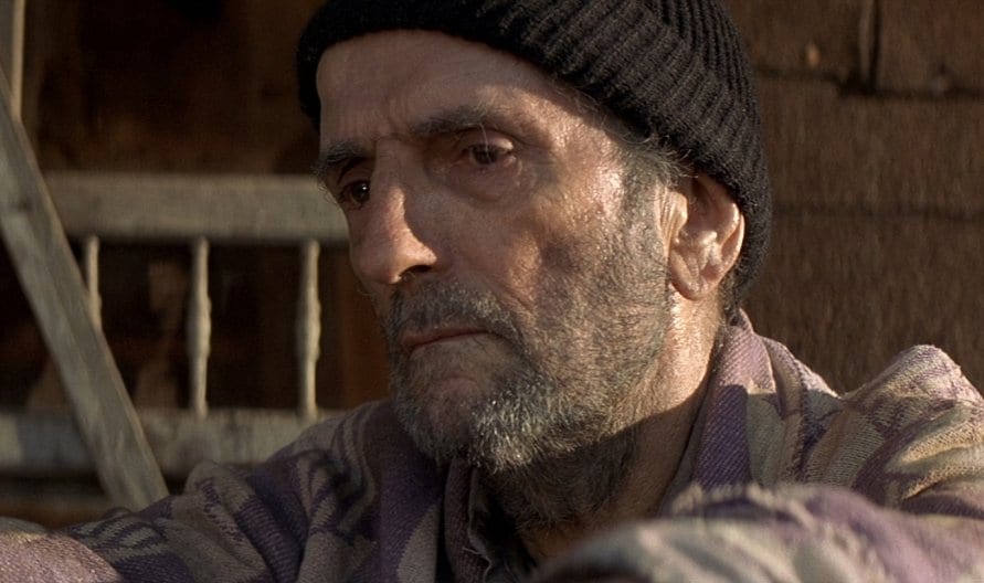 Harry Dean Stanton in The Straight Story