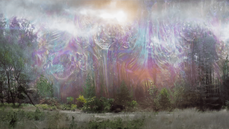 The Shimmer in Annihilation
