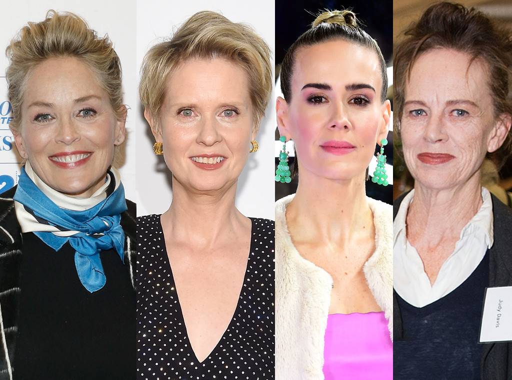 Sharon Stone, Cynthia Nixon, Sarah Paulson, and Judy Davis who'll be appearing in Ryan Murphy drama Ratched