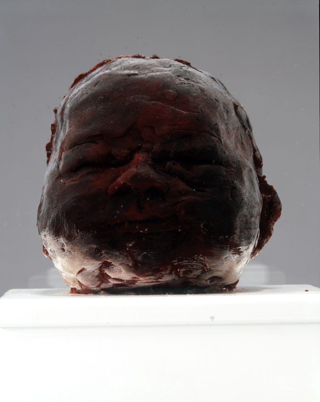 Marc Quinn. Sky. 2006. Human placenta and umbilical cord, stainless steel, Perspex, refrigeration equipment