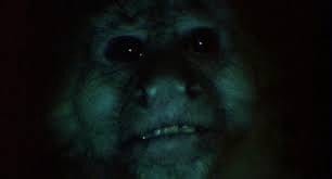 a close up of a monkey face in the dark