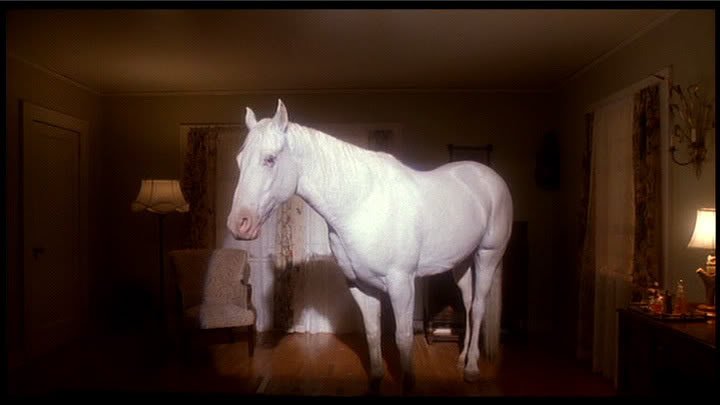 A white horse appears in the Palmer house.