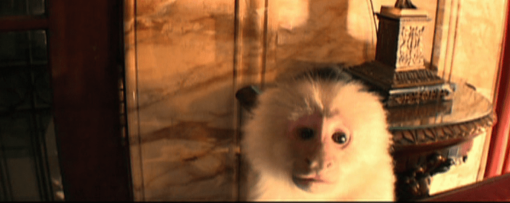 inland empire monkey.PNG