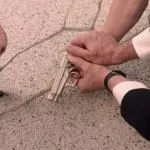 The evolution of the arm appears in a pavement