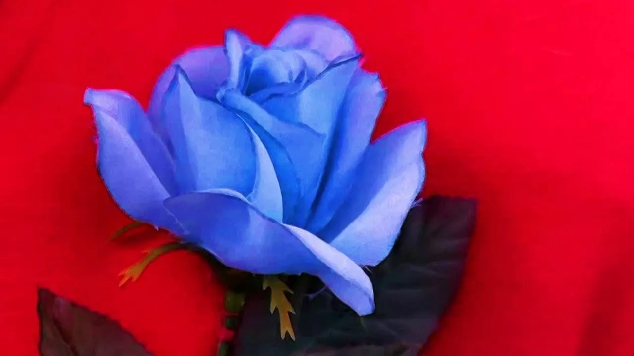 Blue Rose Twin Peaks