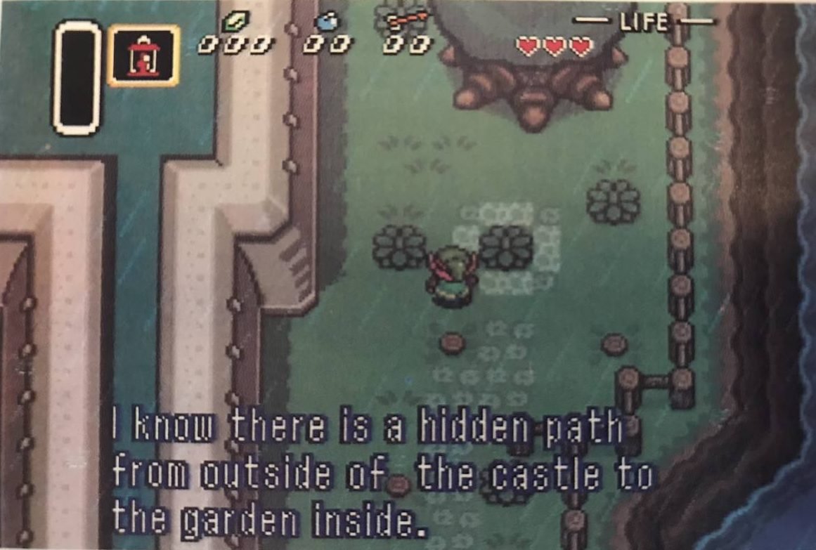 Link walks around the castle in the rain and notices a bush with flowers around it, seemingly meant to be noticed.