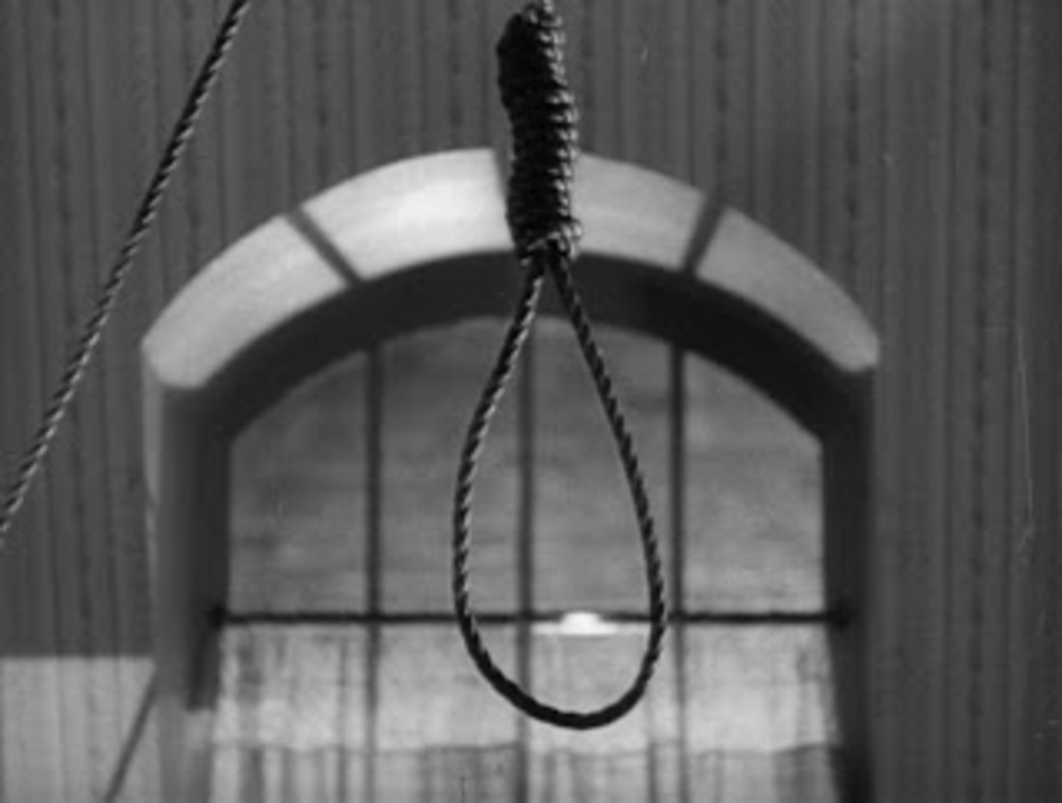 A noose hangs from a ceiling in front of a barred window