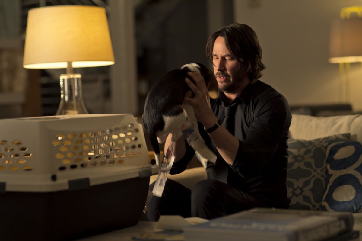 John Wick first encounters the adorable puppy in the first movie.