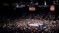 Aerial view of the crowd looking into the ring with several wrestlers in the ring for the Royal Rumble