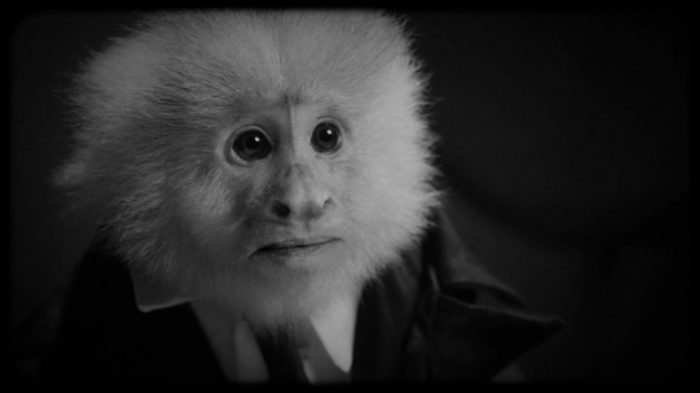 A monkey, with human mouth, discusses life with David Lynch
