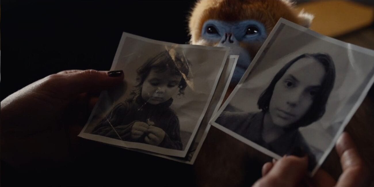 His Dark Materials - Mrs. Coulter's hands leaf through black and white photots of a younger Lyra, as her monkey demon looks on