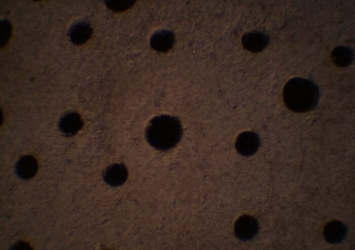 Close up of a perforated acoustic tile with several holes of different sizes visible.