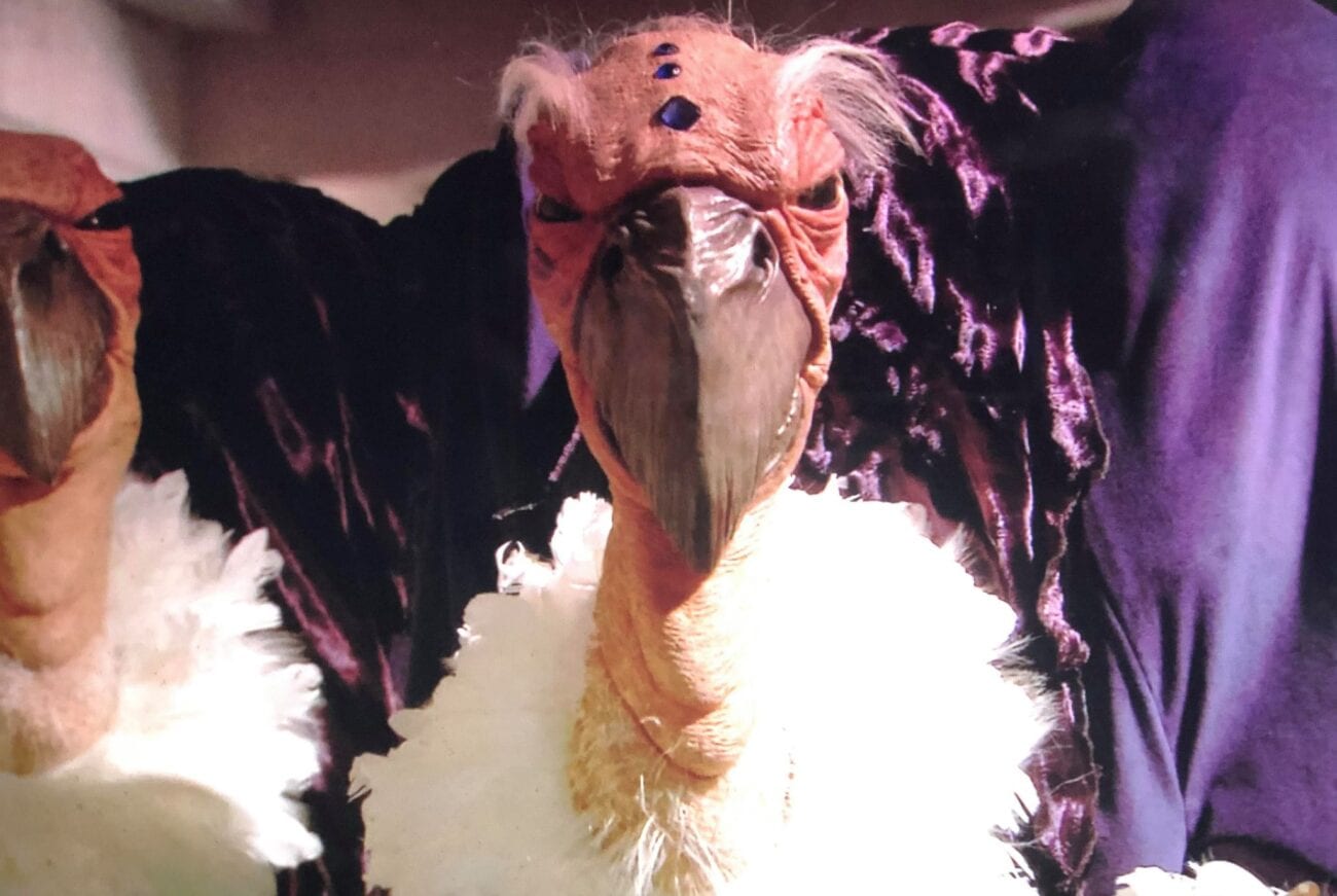 One of the Shansheeth, a puppet-type alien that resembles a vulture