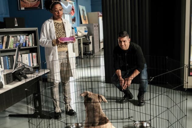 Agents Nick Torres and Kasie Hines (Wilmer Valderrama and Diona Reasonover) look at a injured dog as it rests in the office
