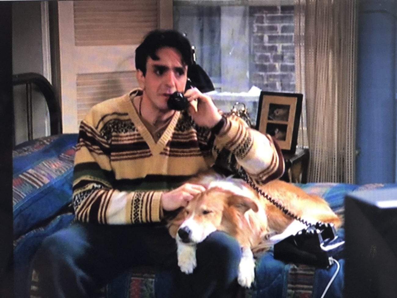 I’m Only Here For The Dog Canine TV Superstars 25YL