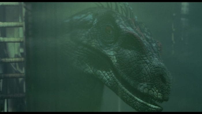 Velociraptor looks through glass in Jurassic Park 3