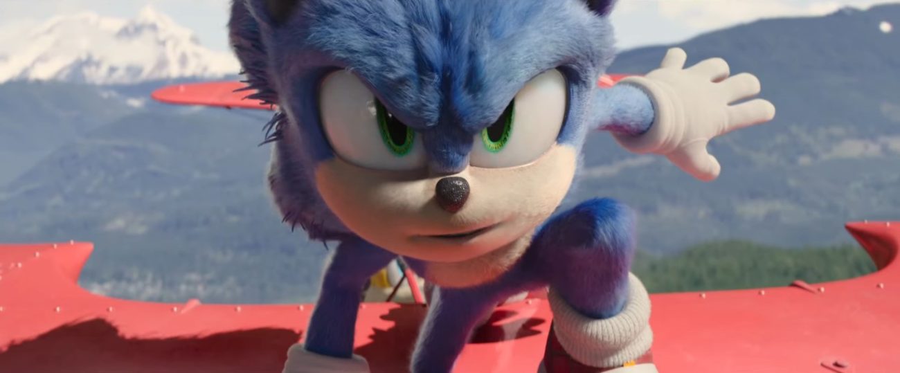 Sonic standing on an airplane.