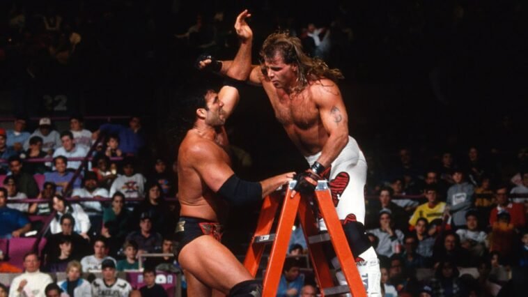 Razor Ramon and Shawn Michaels slug it out at the top of the ladder at WrestleMania X
