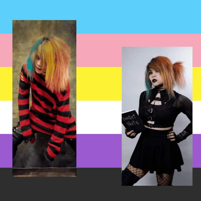 Collage of Kidd Bandit with Trans and non binary flag