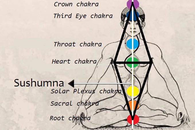 Man sitting cross-legged, outline of upward and downward facing triangles forming a diamond pattern, the Sushumna channel, and each chakra.