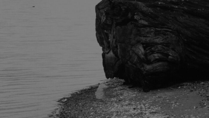 Laura Palmer's body dissapears from the shoreline in Part 17.