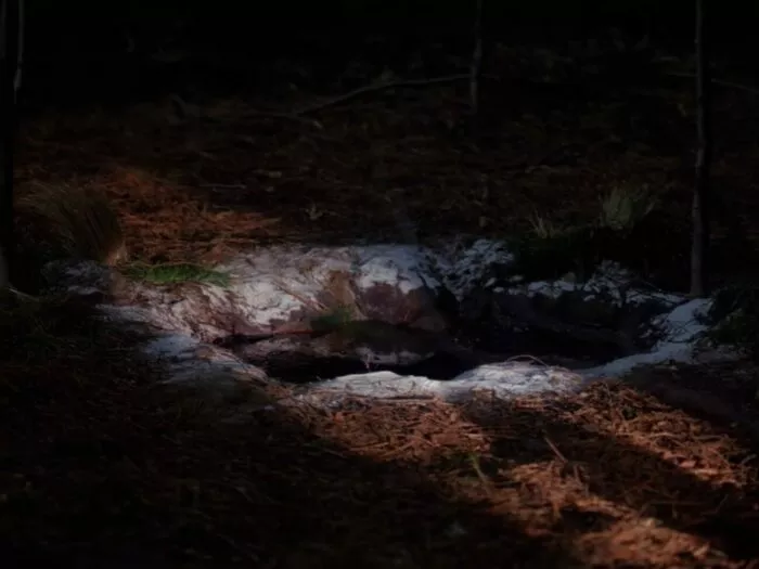 Red Room portal in the woods, embedded in the earth.