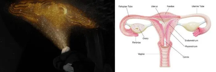 Orange-gold throught womb emitted by Fireman as he levitates, next to picture of female reproductive system.
