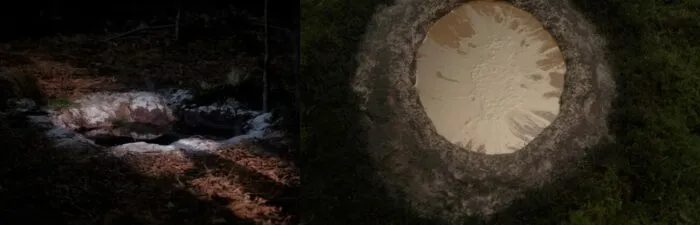 The brown Red Room portal next to the gold Fireman portal.