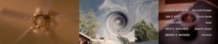 The fan in the Palmer house turning, the whirling vortex in the sky in Season 3, Laura's face inside a coffee cup in Season 2 credit sequence.