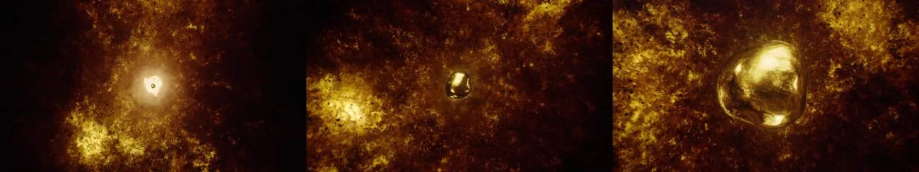 From the depths of the burning fire, a golden seed is propelled, beating like a heart as it comes closer.